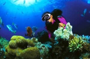 best Scuba Diving sites in Sri lanka