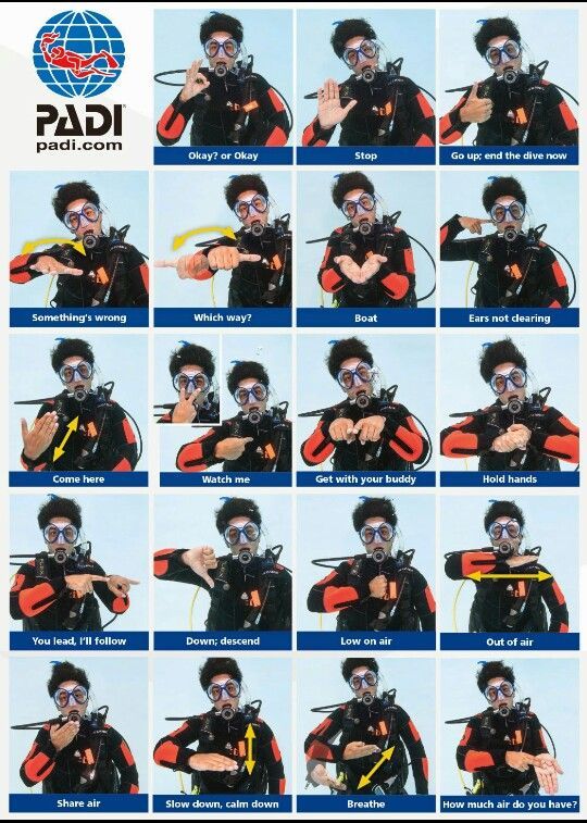 Scuba Diving & Snorkeling TRAILOKA