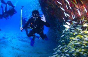 Best diving best scuba diving sites & tips for beginners