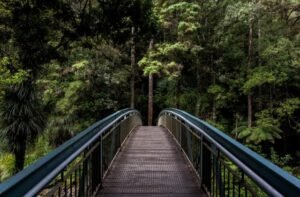 traveling places in New Zealand