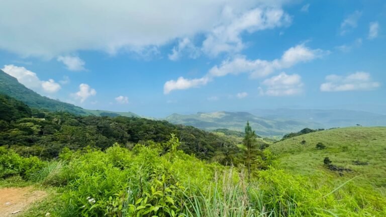 Knuckles village trekking, nature trail