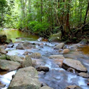 KOTAGANGA Trail- Waterfall Tour 2D/1N